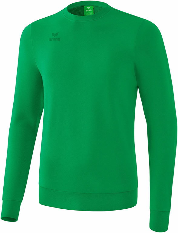 Erima Sweatshirt Basic Pullover 2020 grün Boys