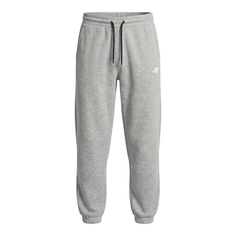 4F Spodnie dresowe Leo M1673 (bawełna) długie szare męskie