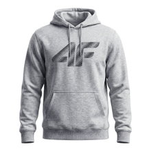 4F Kapuzenpullover Mali M2548 (Baumwolle) grau Herren