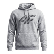 4F Kapuzenpullover Mali M2548 (Baumwolle) grau Herren