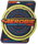 Aerobie Throwing Ring Pro NEW 33cm yellow