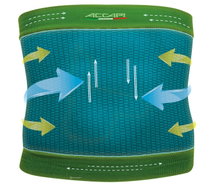 Accapi Lendenbandage Bodyguard Back Support black