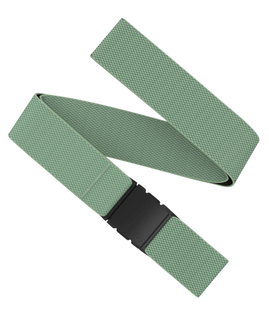 Arcade Belt Carry mint green