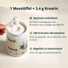 Brandl Creatine Monohydrate Powder - 100% Creatine Monohydrate without Additives - 500g Can