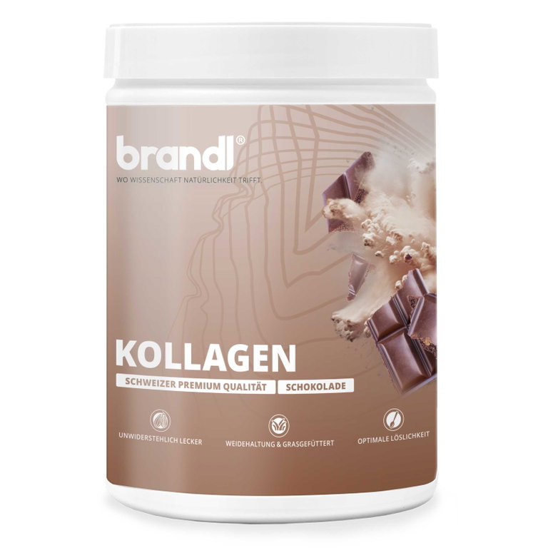 Brandl Kollagen Pulver Schokolade 555g Dose