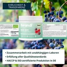 Brandl OPC + Vitamin C (hochdosiertes OPC aus Traubenkernextrakt) 120 Kapseln