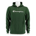 Champion Kapuzenpullover Hoodie Big Logo Print (gefüttert) dunkelgrün Kinder