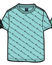 Champion Freizeit-Tshirt (Baumwolle) Champion kleiner Schriftzug Print hellblau Kinder