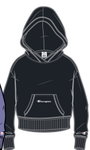 Champion Leisure Hoodie (Cotton Hoodie) small Logo Print black Girls