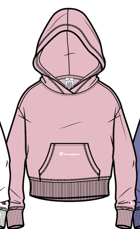 Champion Leisure Hoodie (Cotton Hoodie) small logo print pink girls