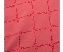 Champion Hoodie American Classic pink Girls