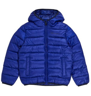 Champion Winter-Steppjacke mit Kapuze - Funktionswattierung, kleiner Logo-Schriftzug - royalblau Jungen