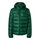 Champion Winterjacke Hooded Jacket (warm, bequeme Passform) grün Kinder
