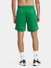 Craft Training Shorts Premier Shorts (rec. Polyester, ergonomic design) short green Men