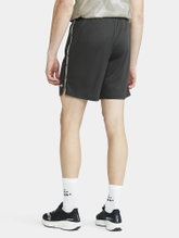 Craft Training Shorts Premier Shorts (rec. Polyester, ergonomic design) short dark grey Men
