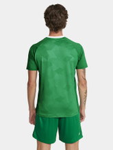 Craft Sport T-shirt (Jersey) Premier Solid Jersey (recycled Polyester, high elasticity) green Men