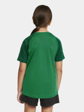 Craft Sport T-shirt Squad 2.0 Contrast Jersey (high elasticity, comfortable fit) green Kids