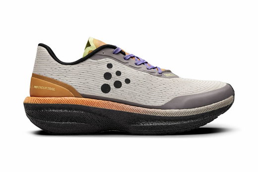Craft Laufschuhe Endurance Trail (Trailrunning) beige/orange Herren