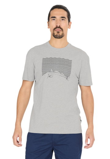 Cruz Freizeit-Tshirt Gander Printed (Baumwolle) grau Herren