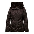 District Winter-Steppjacke Noisette (mit Kapuze, warm) chocolatebraun Damen