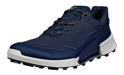 ECCO Wanderschuhe Biom 2.1 X Mountain GTX (Textil, wasserdicht) blau Herren