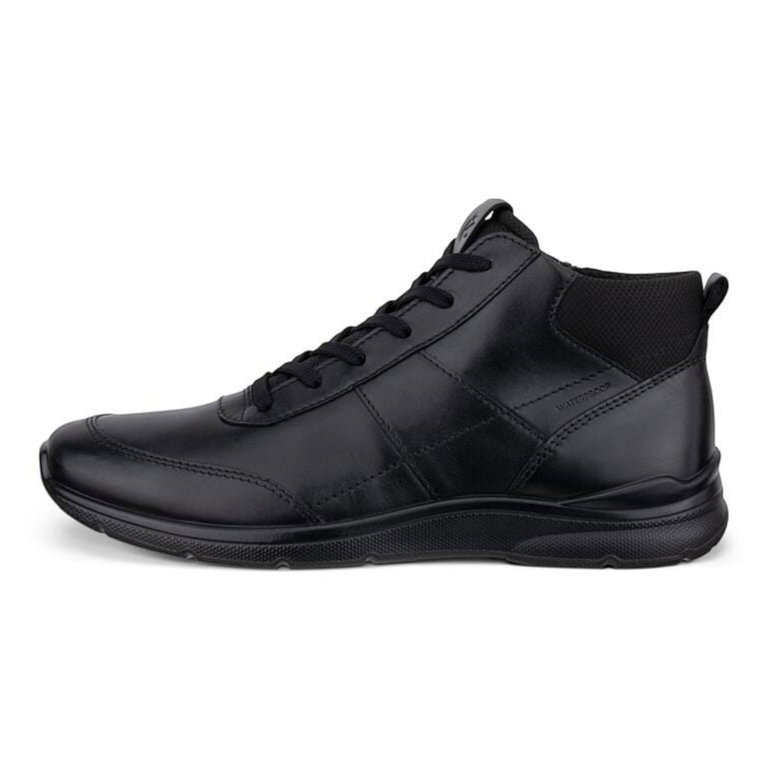 ECCO Alltag-Halbstiefel Irving Zip Ankle Boot (Vollnarbenleder, wasserdicht) schwarz Herren