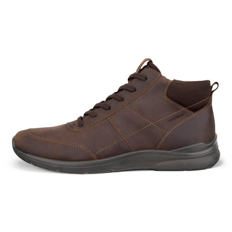 ECCO Alltag-Halbstiefel Irving Zip Ankle Boot (Nubukleder, wasserdicht) dunkelbraun Herren