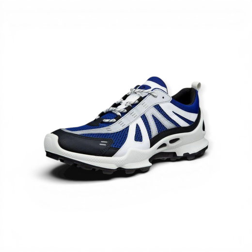 ECCO Sneaker BIOM C-Trail schwarz/blau/silber Herren