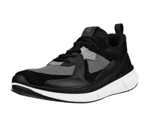 ECCO Sneaker Biom 2.2 (ECCO-Leder) schwarz/grau Herren