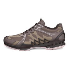 ECCO Biom Aex GTX Sneakers (waterproof) brown ladies
