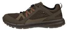 ECCO Wanderschuhe Terracruise ll TEX GTX 2025 (wasserdicht, strapazierfähige Sohle) braungrau Herren