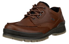 ECCO Wanderschuhe Track 25 Low GTX (Alltagschuhe, Leder, wasserdicht) dunkelbraun Herren