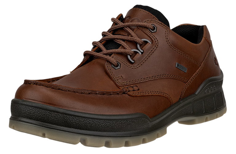 ECCO Track 25 Low GTX Walking Shoes (Casual Shoes, Leather, Waterproof) Dark Brown Men's