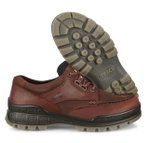 ECCO Track 25 Low GTX Walking Shoes (Casual Shoes, Leather, Waterproof) Brown Men