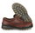 ECCO Wanderschuhe Track 25 Low GTX (Alltagschuhe, Leder, wasserdicht) braun Herren
