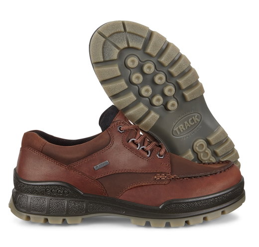 ECCO Wanderschuhe Track 25 Low GTX (Alltagschuhe, Leder, wasserdicht) braun Herren