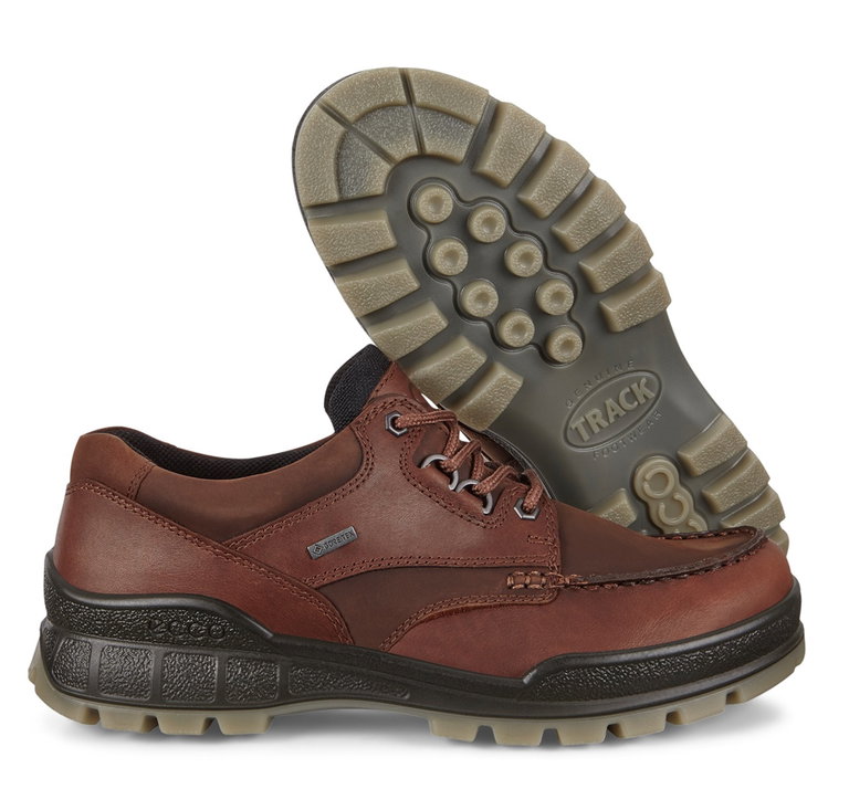 ECCO Wanderschuhe Track 25 Low GTX (Alltagschuhe, Leder, wasserdicht) braun Herren