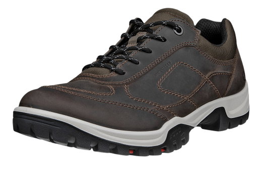 ECCO Wanderschuhe Xpedition III (Premium-Leder, wasserdicht) braun Herren