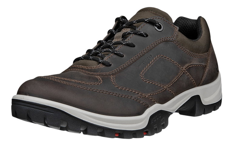 ECCO Wanderschuhe Xpedition III (Premium-Leder, wasserdicht) braun Herren