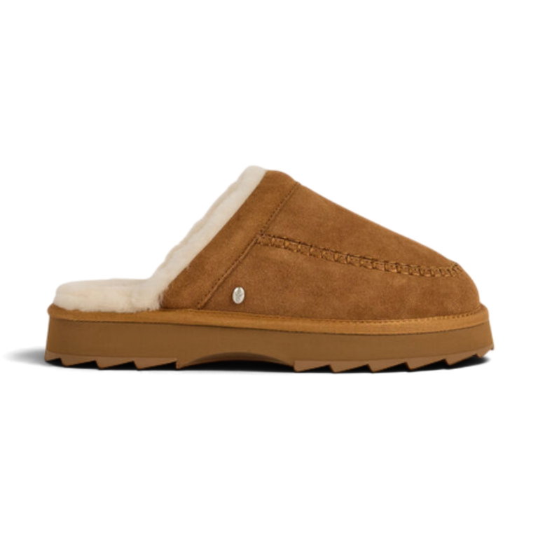 EMU Australia Hausschuhe Sharky Slide (Wildleder, Schafwolle) braun Damen