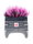 Eisbär Wintermütze (Ohrenmütze) Campo Cocker SA - grau/weiss/pink - 1 Stück