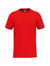 Erima Leisure T-shirt Team Sport (100% Cotton) red Men's