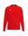 Erima Pullover CMPT Wings Sweatshirt (mixed fabric) red men's