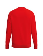 Erima Pullover CMPT Wings Sweatshirt (mixed fabric) red men's