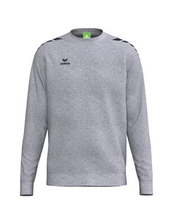 Erima Pullover CMPT Wings Sweatshirt (mieszanka materiałów) szary mężczyźni