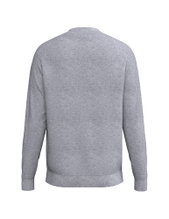 Erima Pullover CMPT Wings Sweatshirt (mixed fabric) grey men's