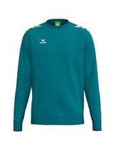 Erima Pullover CMPT Wings Sweatshirt (mixed fabric) blue men's