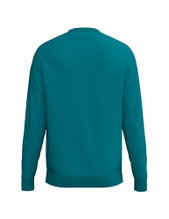 Erima Pullover CMPT Wings Sweatshirt (mixed fabric) blue men's