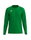 Erima Sport-Langarmshirt Intro Function (leicht, weich, feuchtigkeitsableitend) smaragdgrün Herren