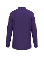 Erima Sport Long Sleeve Shirt Intro Training Top (Half-Zip, durable functional material) violet Men's